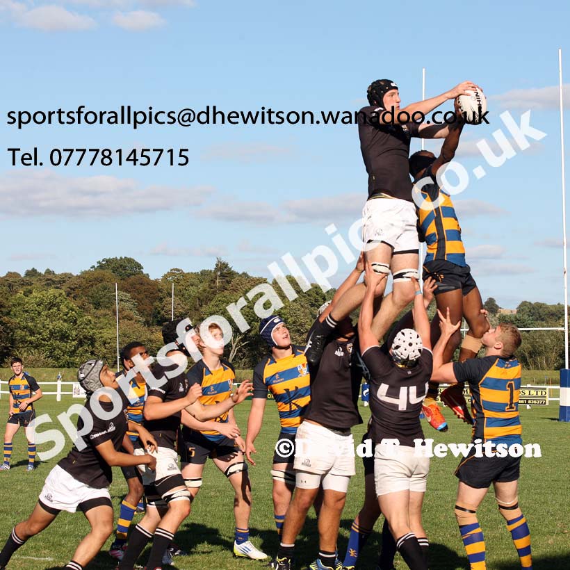 2014 Tynedale RFC School Rugby Festival. Photo: David T. Hewitson/Sports for All Pics